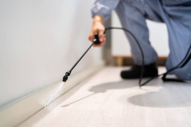 Licensed Pest Control service in Monticello, IL - Show Me Pest Control