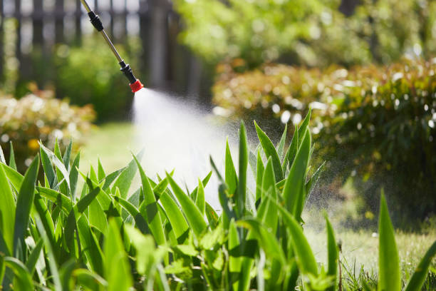 24/7 Emergency Wasp Removal experts in Monticello, IL