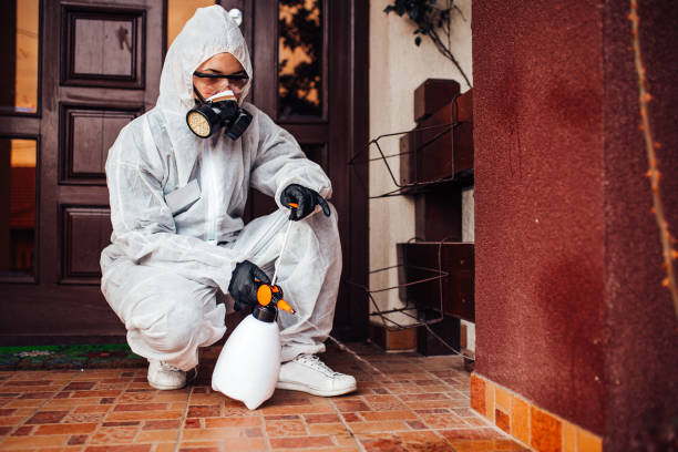 Reliable Wasp Removal contractor in Monticello, IL by Show Me Pest Control