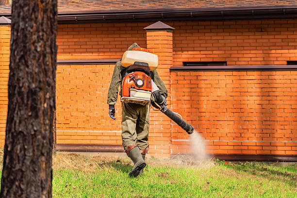 Top rated local Wasp Removal specialists in Monticello, IL